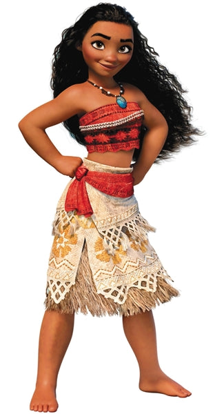Princess Moana Costume